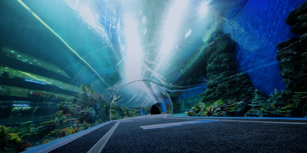 Акрил Revamp Oceanariums: глубоководные инновации в Китае